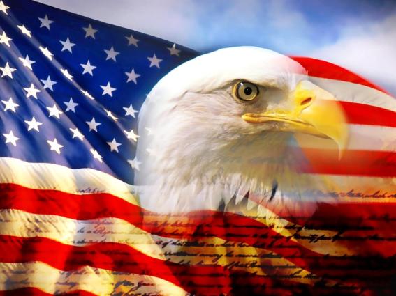 American eagle and flag image